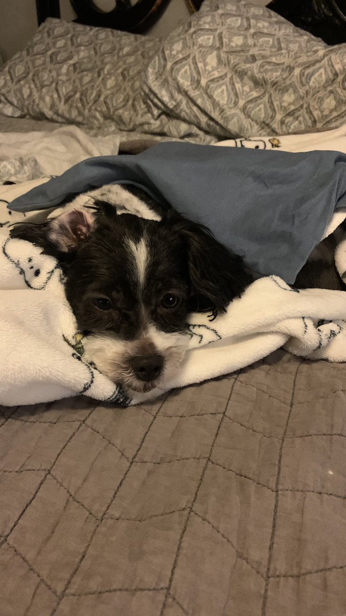 A hood snuggle morning with a warm heating pad ❤️