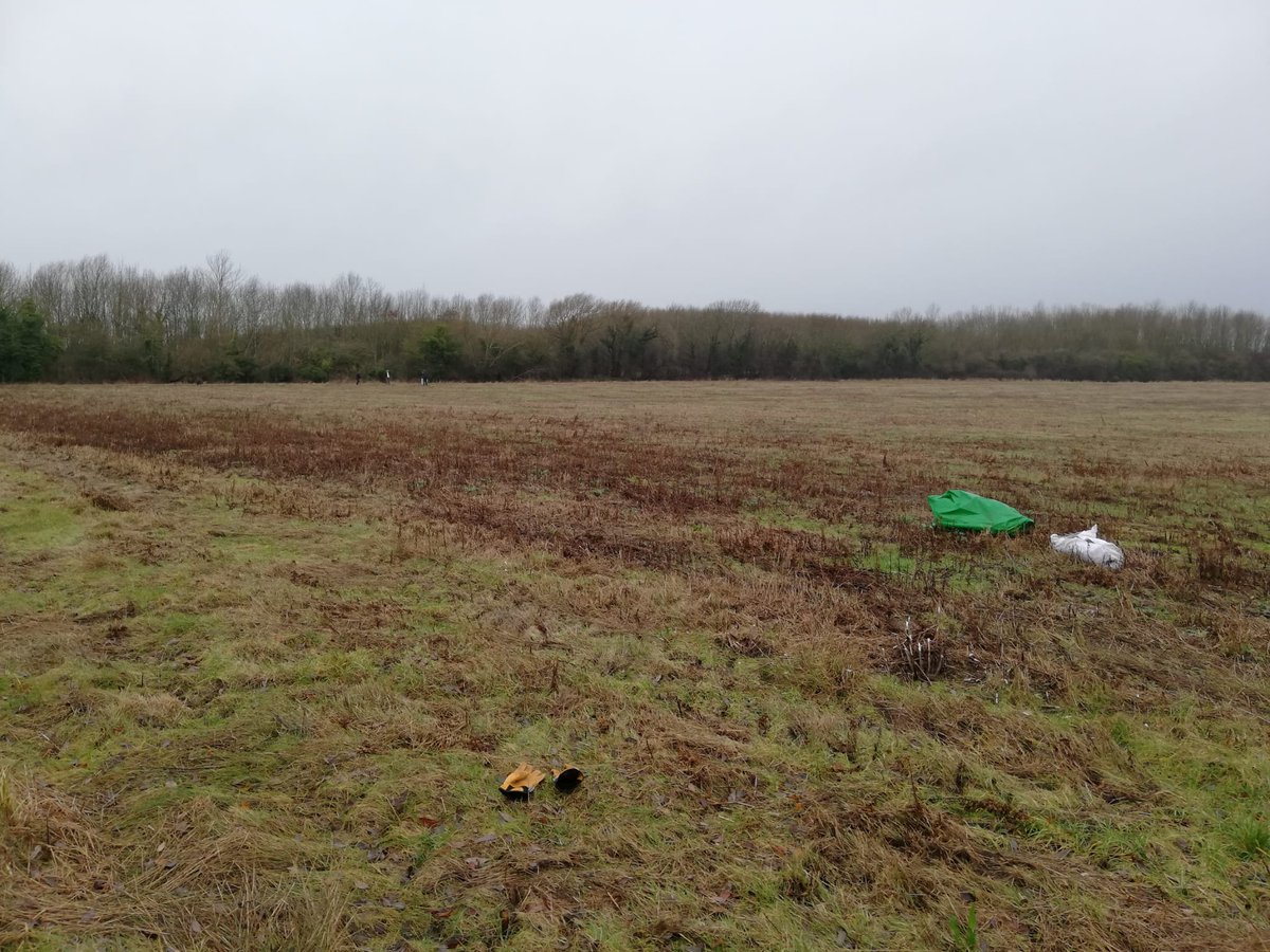 FutureTreesUK's tweet image. It begins! The start of the planting of a Sycamore progeny trial in Oxfordshire. The trees came from the clonal seed orchards by individual mother tree and raised as cell grown planting stock at Cheviot Trees before being planted. 

#sycamore #progenytrial #treeresearch