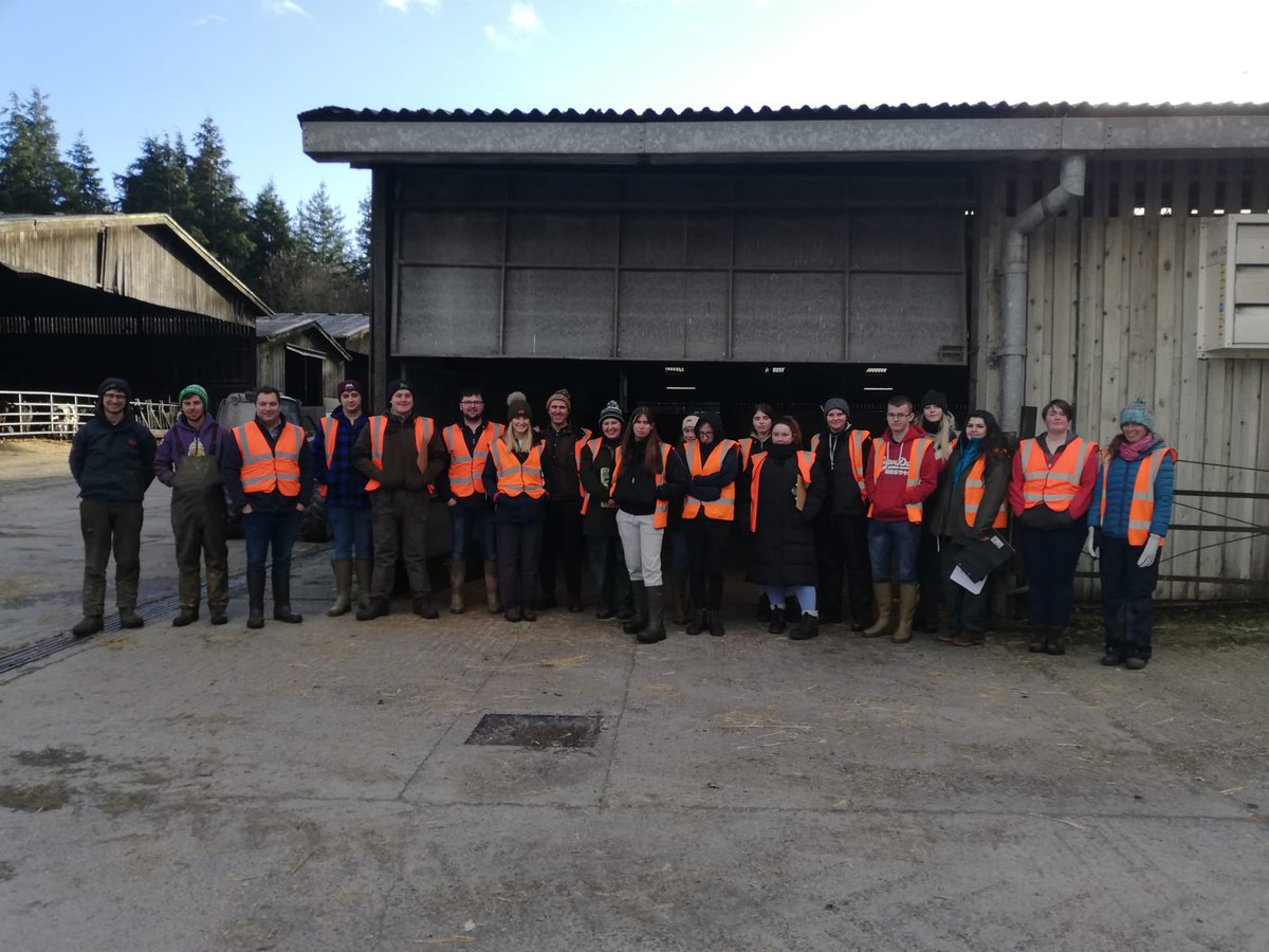 A wonderful morning yesterday showing Bridgend College around the dairy and youngstock unit at Aberstwyth University