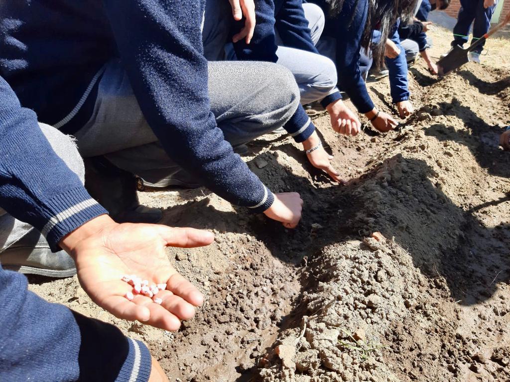 AmbienteEdomex's tweet photo. Cultivar verduras, hortalizas, frutas o legumbres con procesos productivos naturales, contribuye a reducir nuestra huella de carbono, por ello, la #CGCE de la #SAMGEM imparte a alumnos de la Esc. Sec. Of. 0402 “Siervo de la Nación” de #Tepetlaoxtoc el taller “Huertos Escolares” https://t.co/F14tNwm3hh