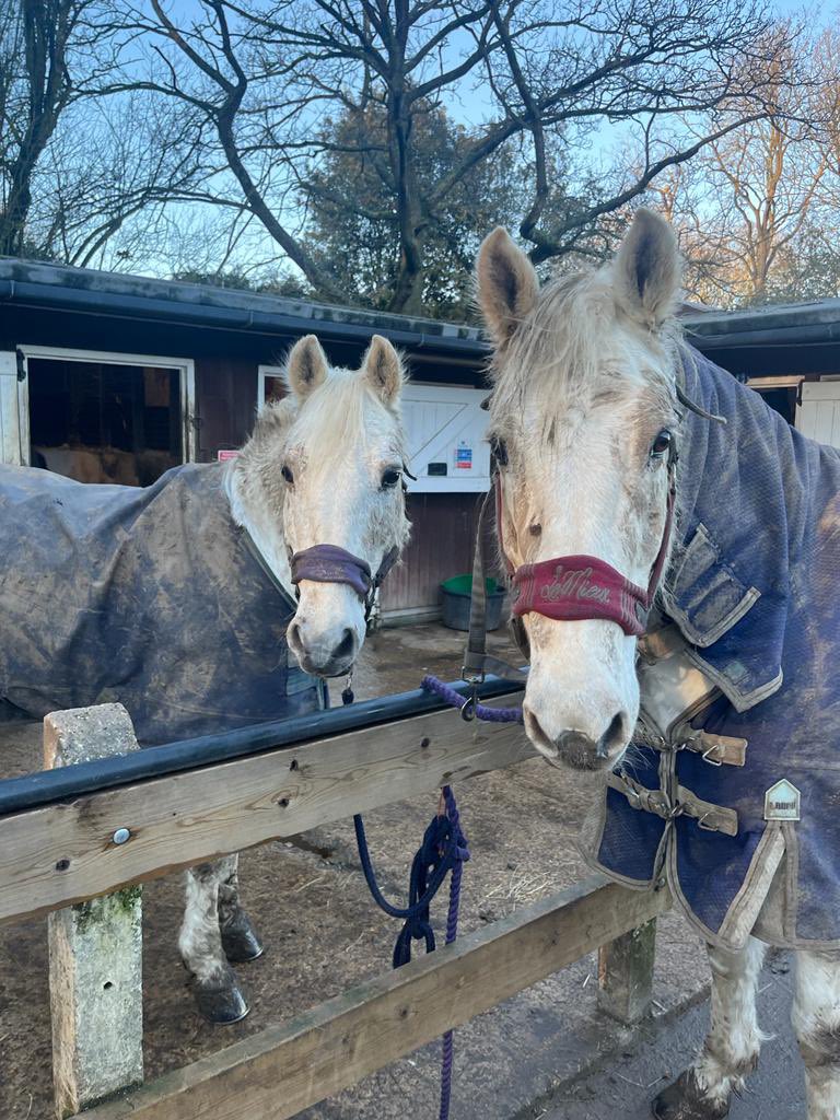 Do you have a few hours spare? We are looking for more volunteers to help lead and side help our riders - if you’d like to join the team Wednesdays 10-12:30 or 3-5pm please get in touch ..