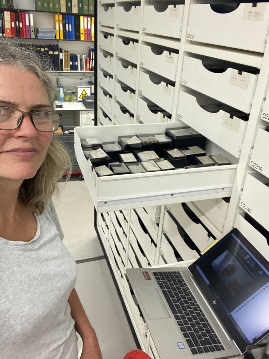 #MuseumSelfie day. Up a ladder datacapturing AND sitting in on a Zoom meeting. 21st Century curation