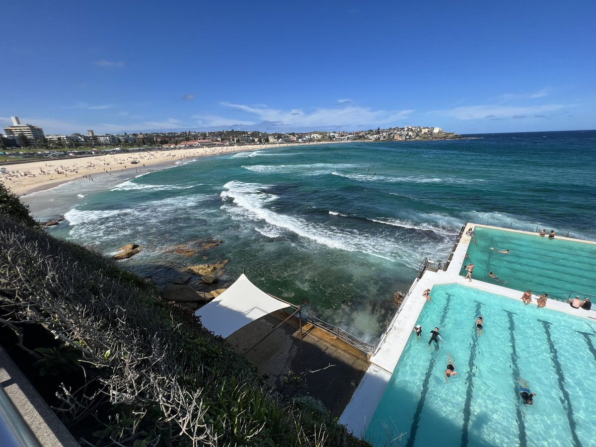 DrunkPilotPablo's tweet photo. Monkey says to share a photo from last week at Bondi 🙉 #bondi #icebergs #bondibeach #MonkeyBusiness #drunkpilot #twitterdaily https://t.co/7TYnRdKris