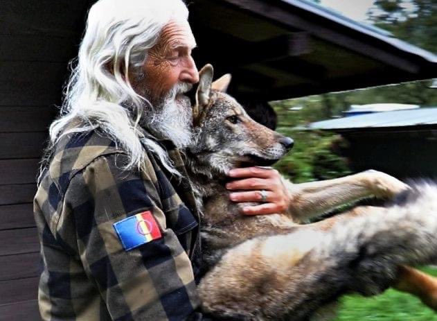 tanyazkrusek's tweet photo. Vladimír Tomáš Smolík z Drosery, který o Bublu pečoval hned po zranění, ho i vypustil do přírody 🤍🐺 https://t.co/X64j2NqDwk