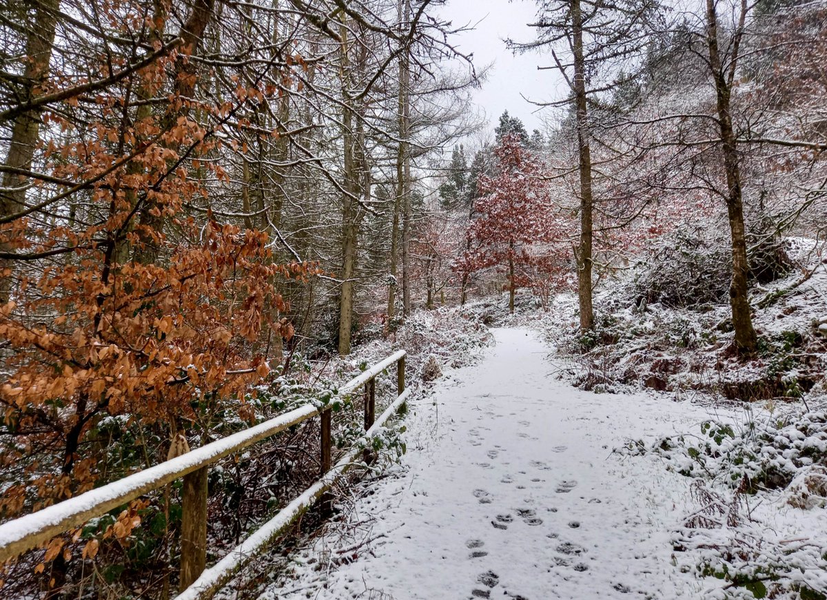 lee williams tweet media