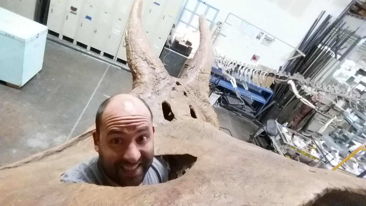 Happy #MuseumSelfieDay ! At our museum, you can play Whack-a-Mole with a Torosaurus and an Italian!