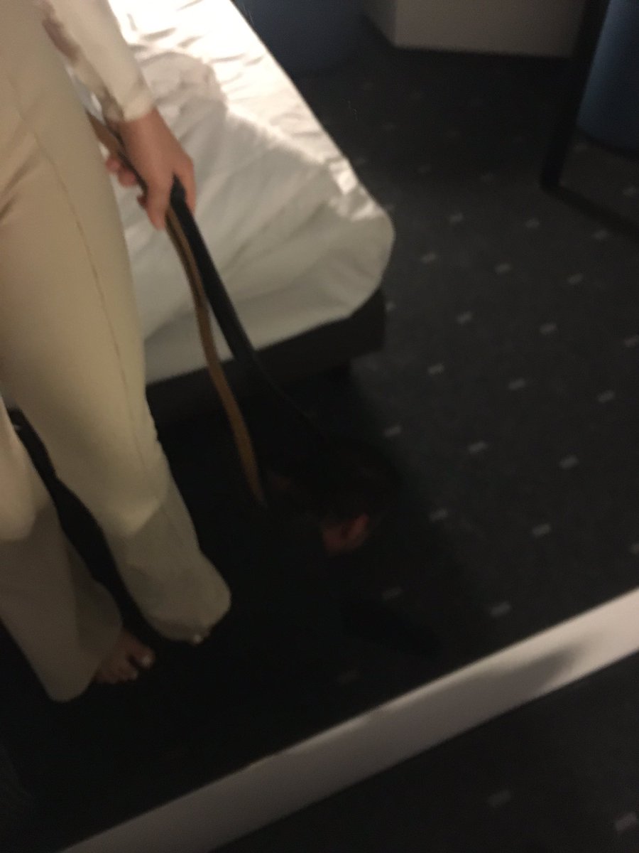 Queenleilaaaa's tweet photo. Auspeitschen bis sie zu Boden kriechen ! So sollten Ungehorsame Sklaven erzogen werden. #feet #slave #geldsklave #ballbusting #goddess https://t.co/9bEukW349n