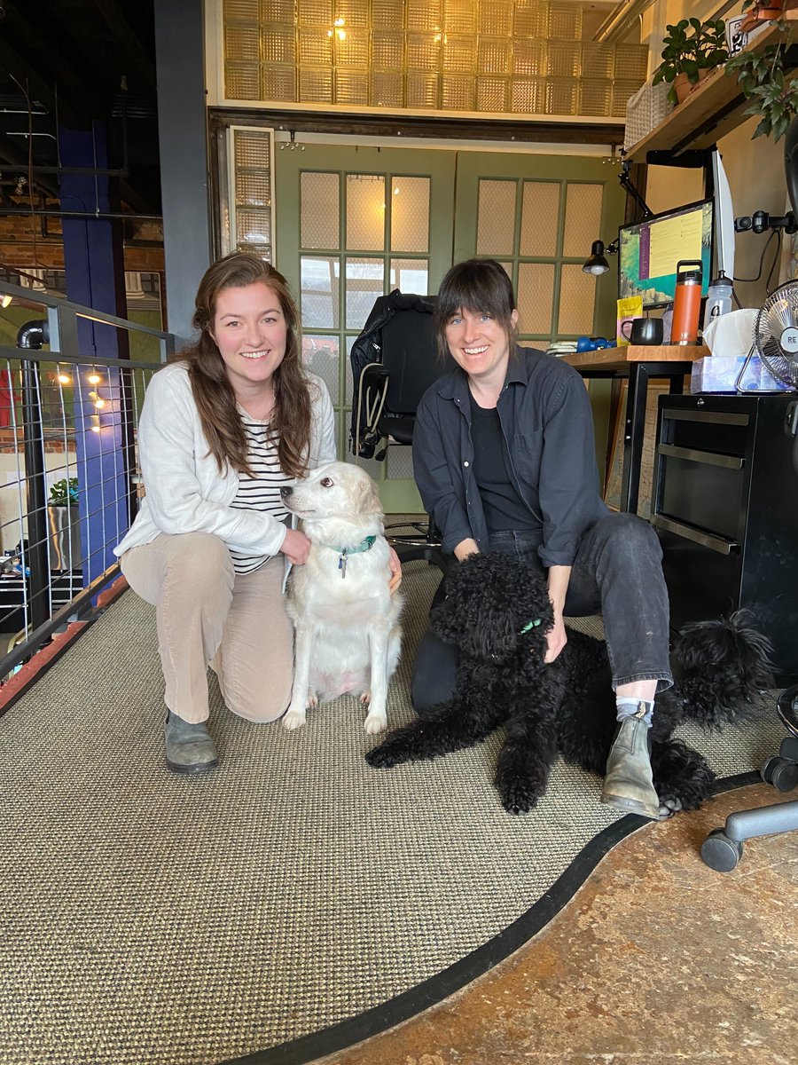 Match your dog day at the office at Urban3! 😍🐶 From left to rt: Taylor, Hallie, Lanier, Alice.