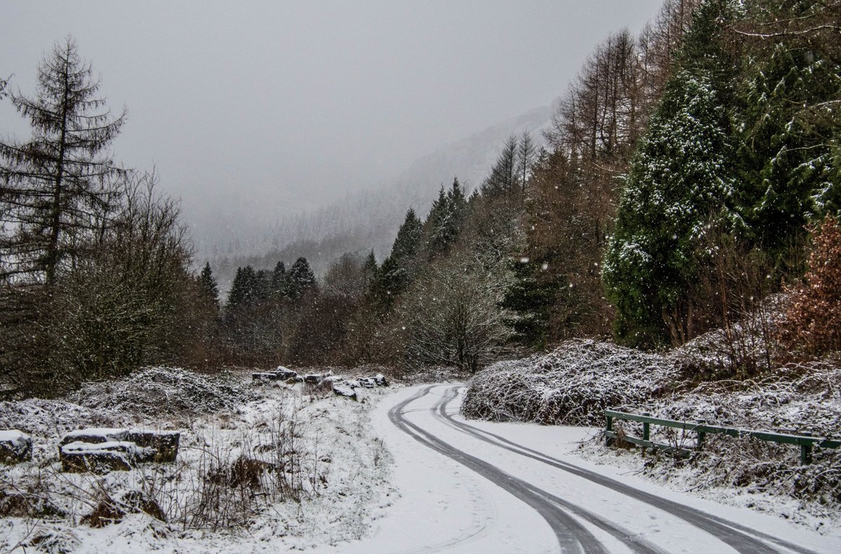 lee williams tweet media