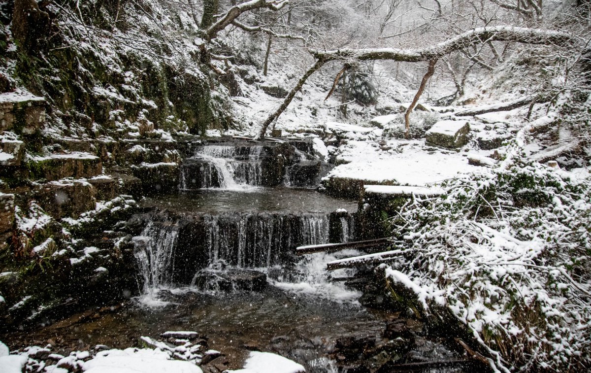 lee williams tweet media