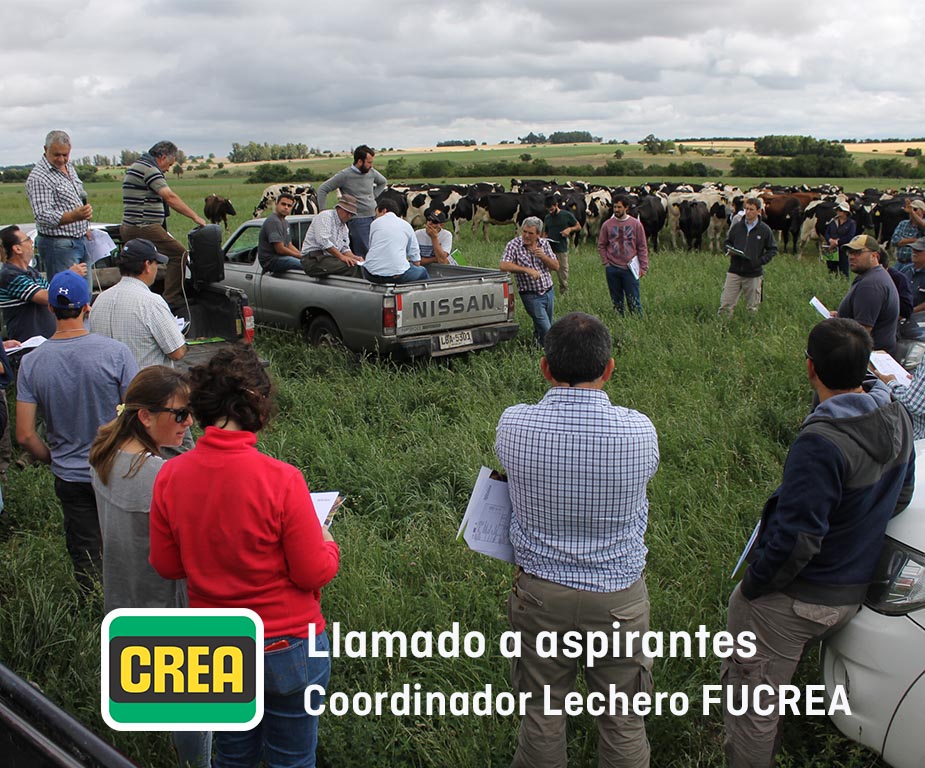 📣 Estamos buscando al/la próximo/a Coordinador/a de la Sectorial Lechera de FUCREA. ¿Estás preparado/a para el desafío?

Ingresá aquí para más info: fucrea.org/noticias/llama…