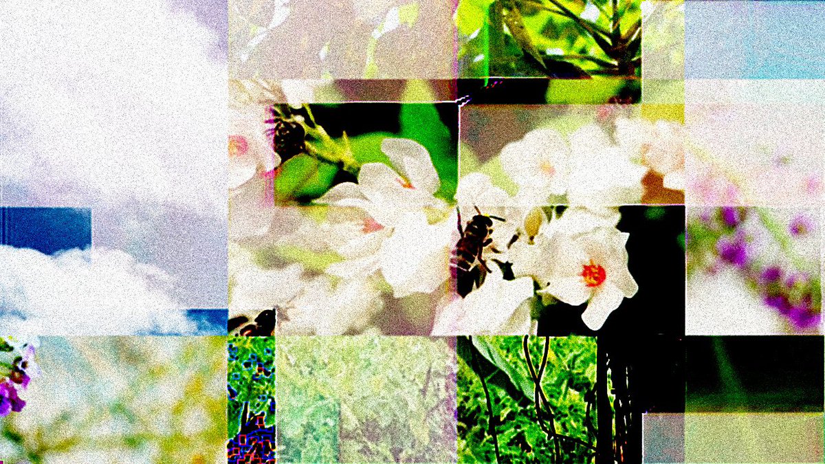 Jacob Deakin tweet media