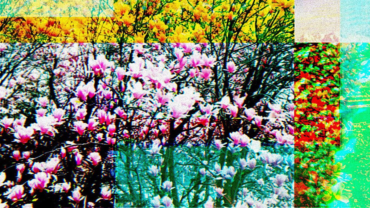 Jacob Deakin tweet media