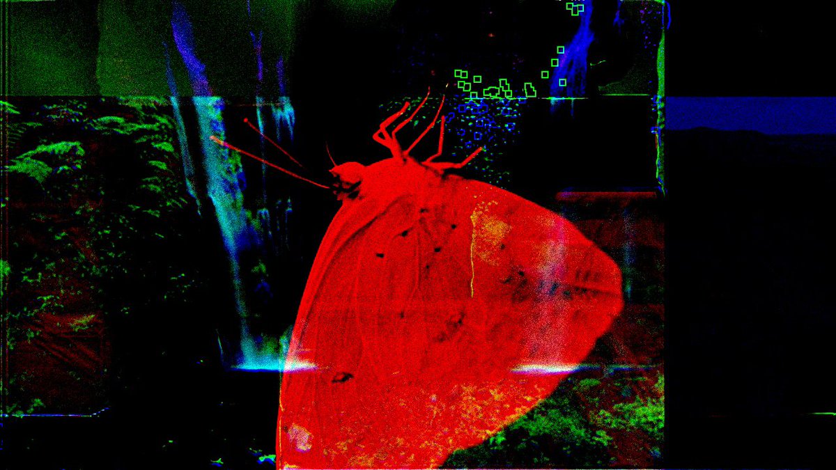 Jacob Deakin tweet media