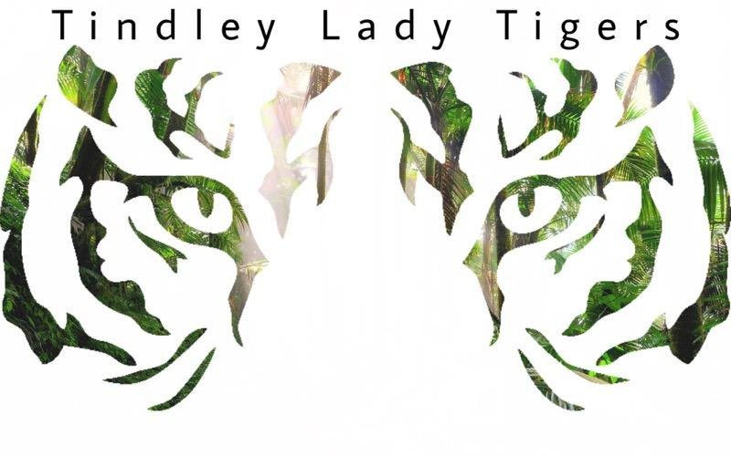 Come out and Support you Lady Tigers tonight as they face off against Arsenal Tech game time is 6.                                    Location: Arsenal Tech