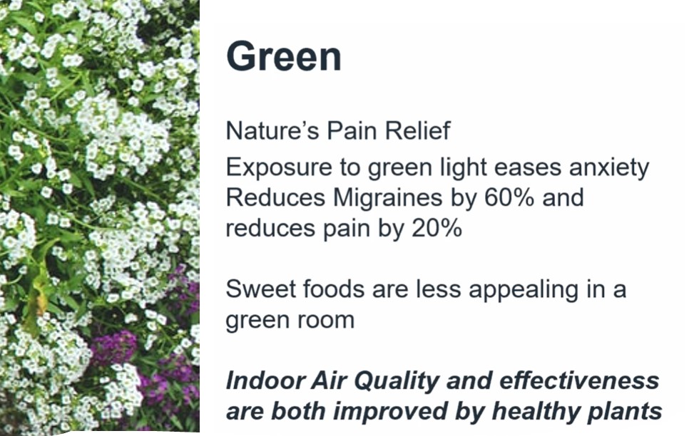 TimelessKitchDz's tweet photo. A7. Biophilia and Plants: Natures pain relief. And the color GREEN is powerful too, for all of you who watched my Color Psychology CEU. #KBtribechat #timelesskitchendesign https://t.co/5uPGhJzcOK