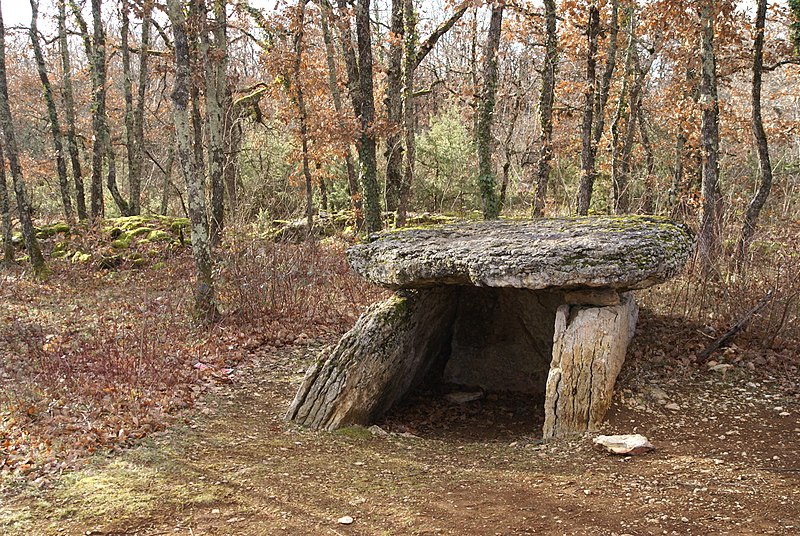 MonumentumFr's tweet photo. Dolmen à #Septfonds (#TarnEtGaronne) Construction Néolithique. Dolmen (cad. C 397) : classement par liste de 1889.
Suite 👉 https://t.co/TABzTfmrkC
#Patrimoine #MonumentHistorique https://t.co/yVmWRQqzcT