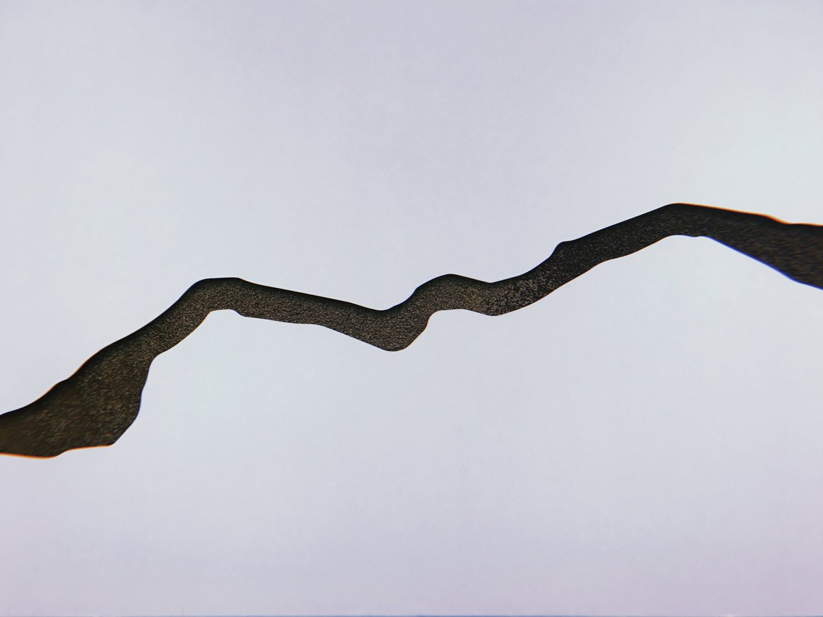 _solson's tweet image. coffee beans