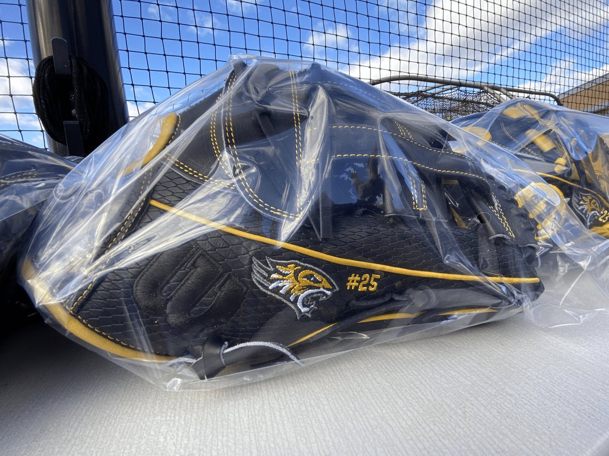 Towson Baseball tweet media
