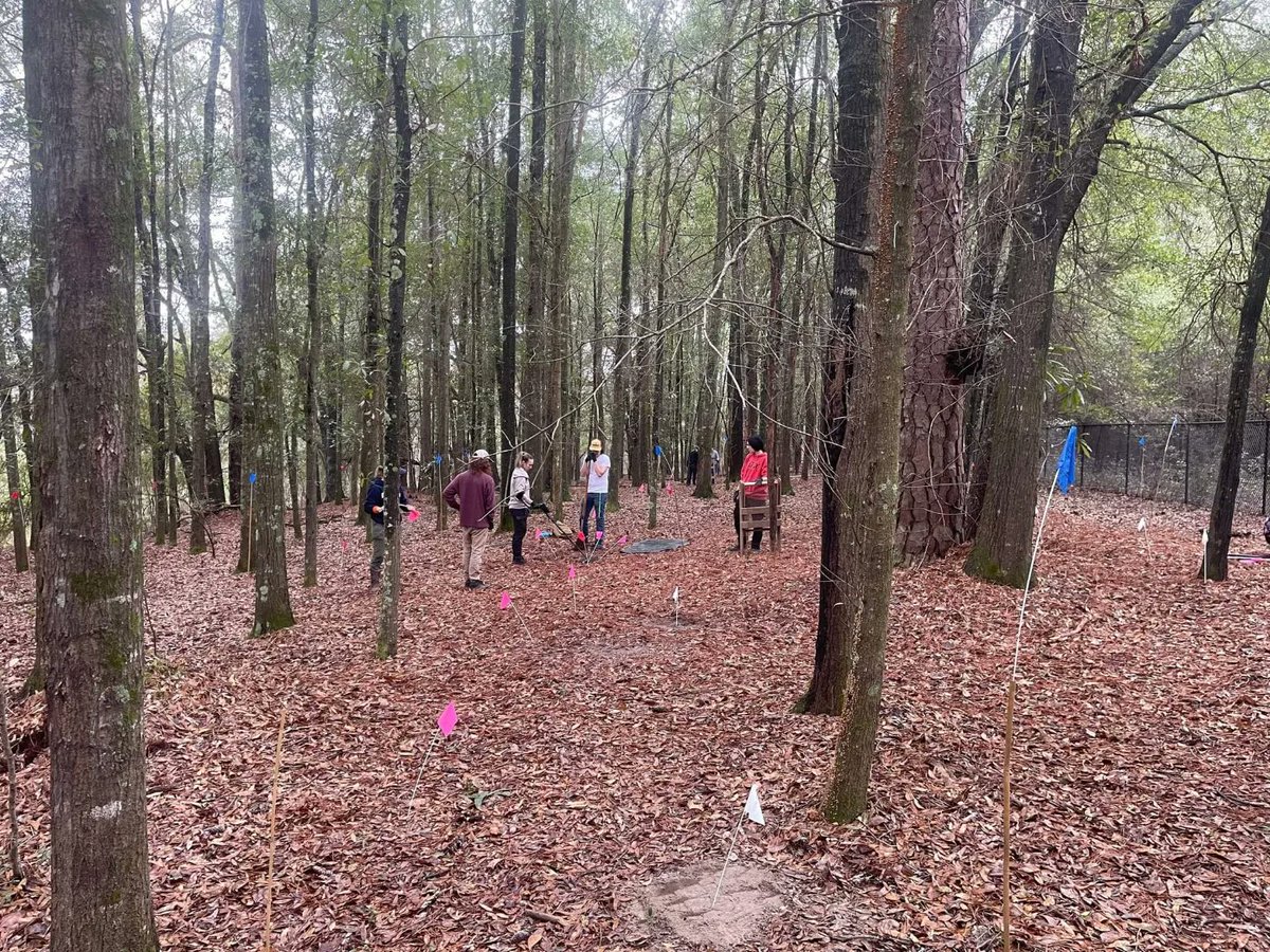 CampLawtonGSU's tweet photo. We are back at #CampLawton for Spring Field School! This season, we are looking for evidence of the sutler's cabin. 

#clap2023 #uscivilwar #archaeology #fieldwork #conflictarchaeology #gsu #civilwararchaeology #archaeologyfieldwork #historicalarchaeology #updatesfromthefield https://t.co/vxtGpR8QRS