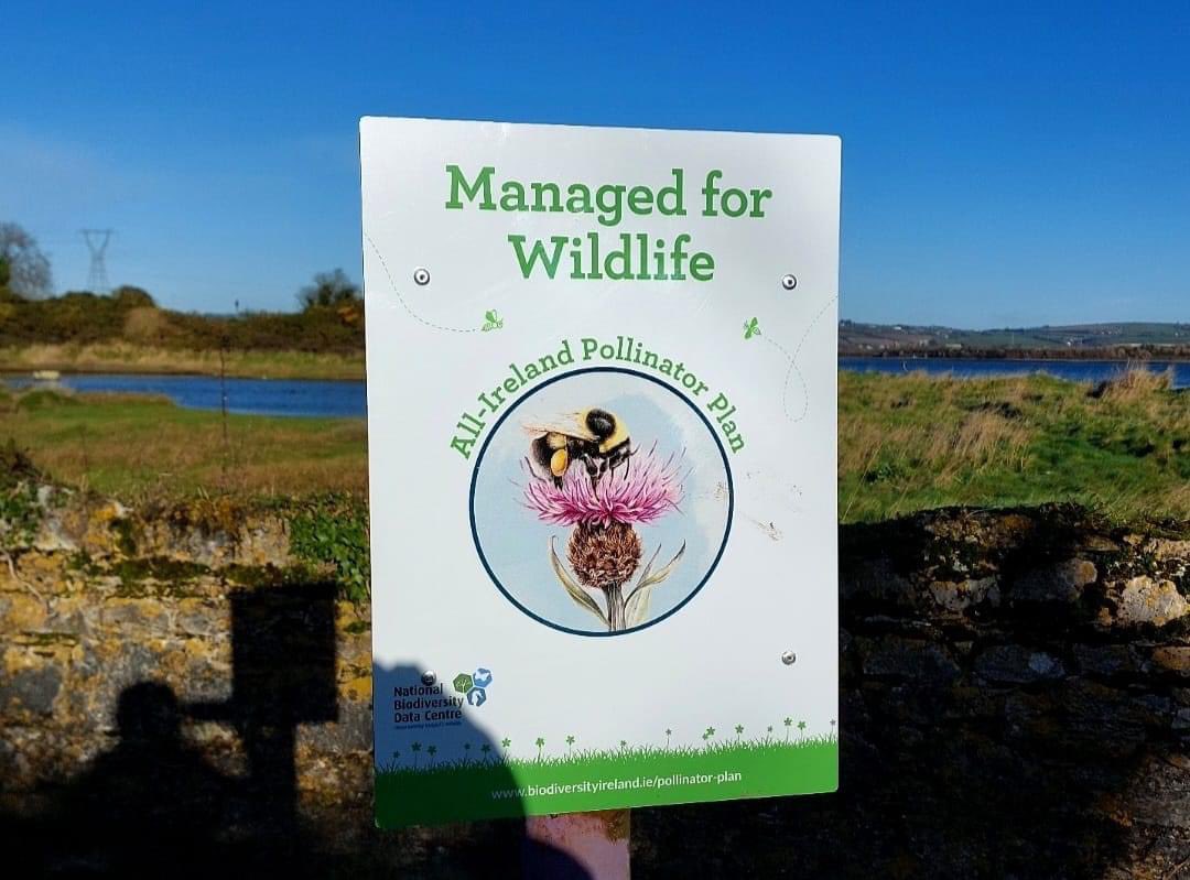 Great collaboration in ‘Cobh Sustainability Group’ identifying a site to be managed for biodiversity with native Irish trees planted and no mow to see what species come through at Rossleague. #teamwork #greatisland #sustainablecommunities #biodiversity #pollinators