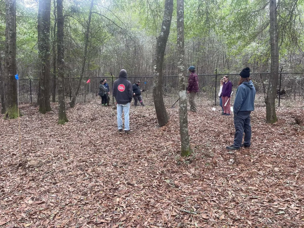 CampLawtonGSU's tweet photo. We are back at #CampLawton for Spring Field School! This season, we are looking for evidence of the sutler's cabin. 

#clap2023 #uscivilwar #archaeology #fieldwork #conflictarchaeology #gsu #civilwararchaeology #archaeologyfieldwork #historicalarchaeology #updatesfromthefield https://t.co/vxtGpR8QRS