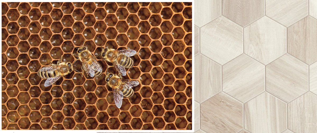 TimelessKitchDz's tweet photo. A8: Biomimicry!  Images of nature can be just as powerful.   #KBtribechat #timelesskitchendesign https://t.co/ReBThEF1Rh