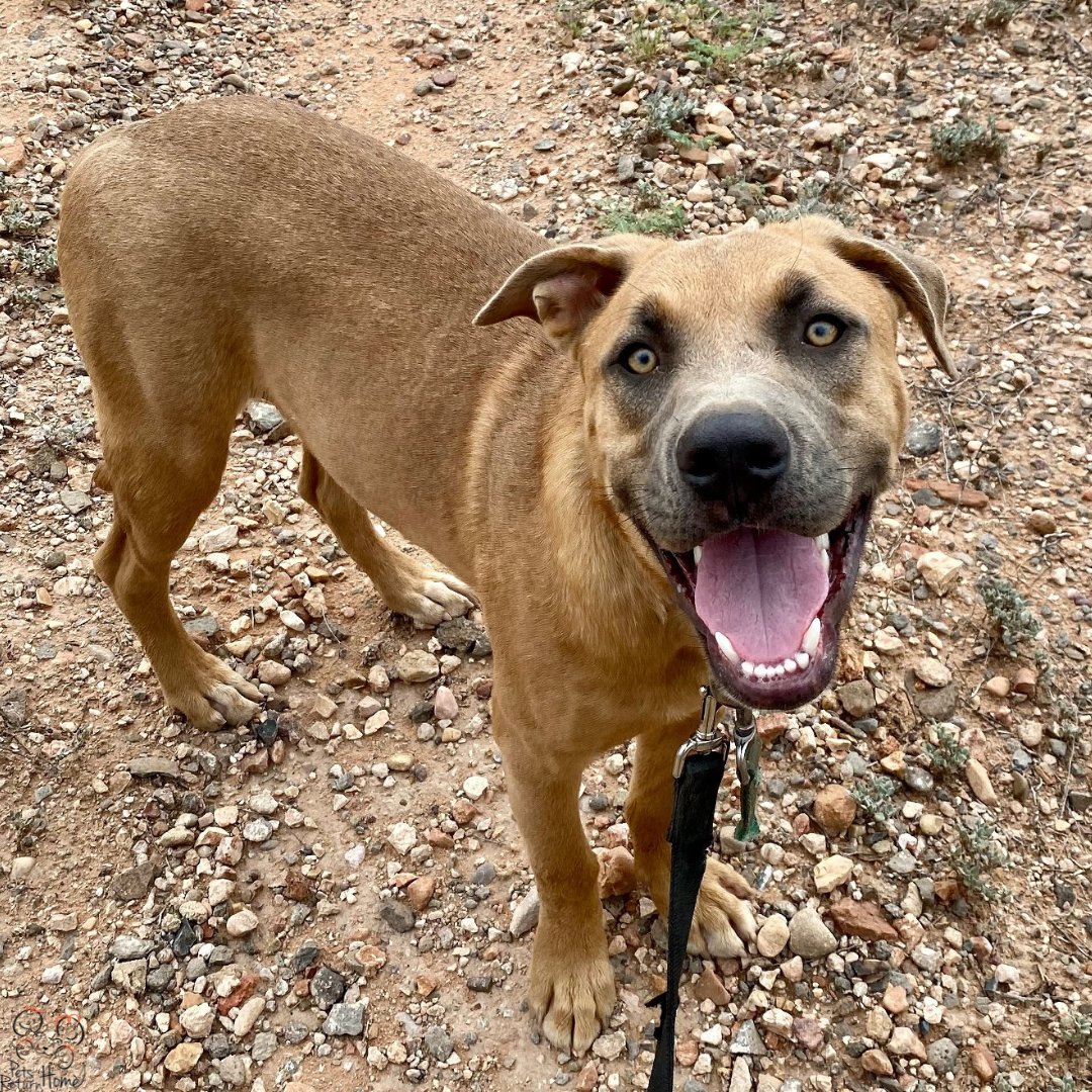 Saving Lives tweet media