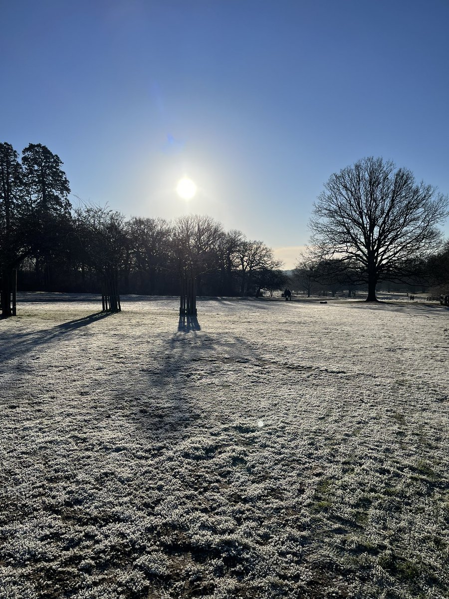 AnnRDavid's tweet photo. Richmond Park this morning #winterfrost #coldbutbeautiful https://t.co/D2e4Oe1Zu5