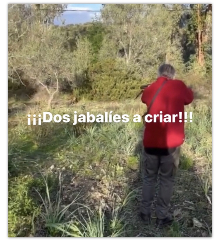 ¡¡¡Dos jabalíes a criar!!! apuntomichelcoya.com/blog/dos-jabal…