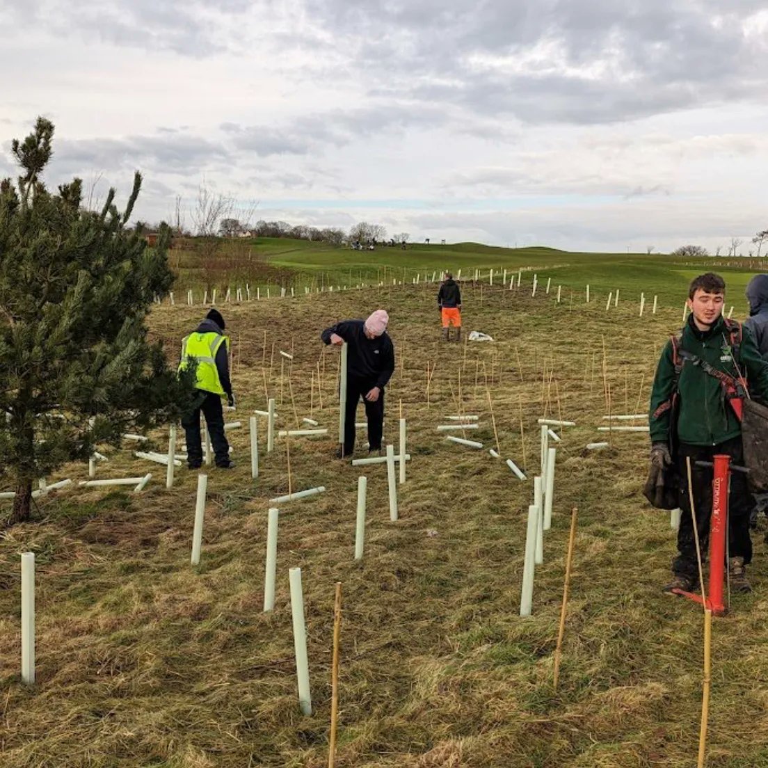 🌳 The team at Green Task Force and PATT Foundation along with our greeenstaff and a couple of volunteers have been working hard over the past few days on phase two of the “Lungs of Burstwick”!

📖 Check out our article which contains more info.  

buff.ly/3CZ501g