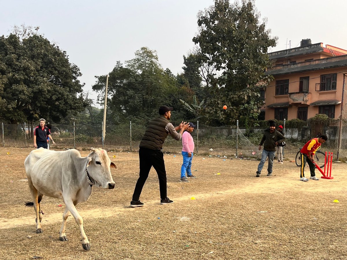 Distractions on the cricket field (as in life) take many forms. Learn to deal with the unexpected when you volunteer on a CWB project trip cricketwithoutboundaries.com/volunteer
#CricketTwitter #volunteer #cricket #sportforgood