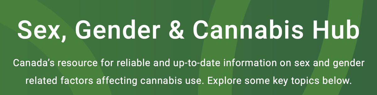CanFASD's tweet photo. Cannabis use during pregnancy can cause various adverse effects to both the birth parent and fetus.  

To learn more about cannabis and reproductive health, visit  https://t.co/gxAXmnoUC2 https://t.co/fXyW0MMILn