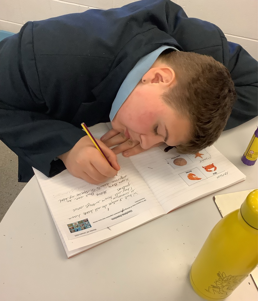 ALS_KS3's tweet photo. Botswana class have been learning about classifying organisms in Science this week! They investigated the different characteristics of birds and sorted them into groups @AbbotsLeaSchool https://t.co/Hfd1YhtsXi