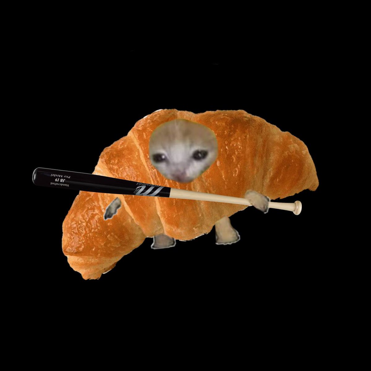 dumpst4r's tweet photo. @CatLoverCult @CatBonk1 #CATBONK he's me https://t.co/JGAJVD0NnK