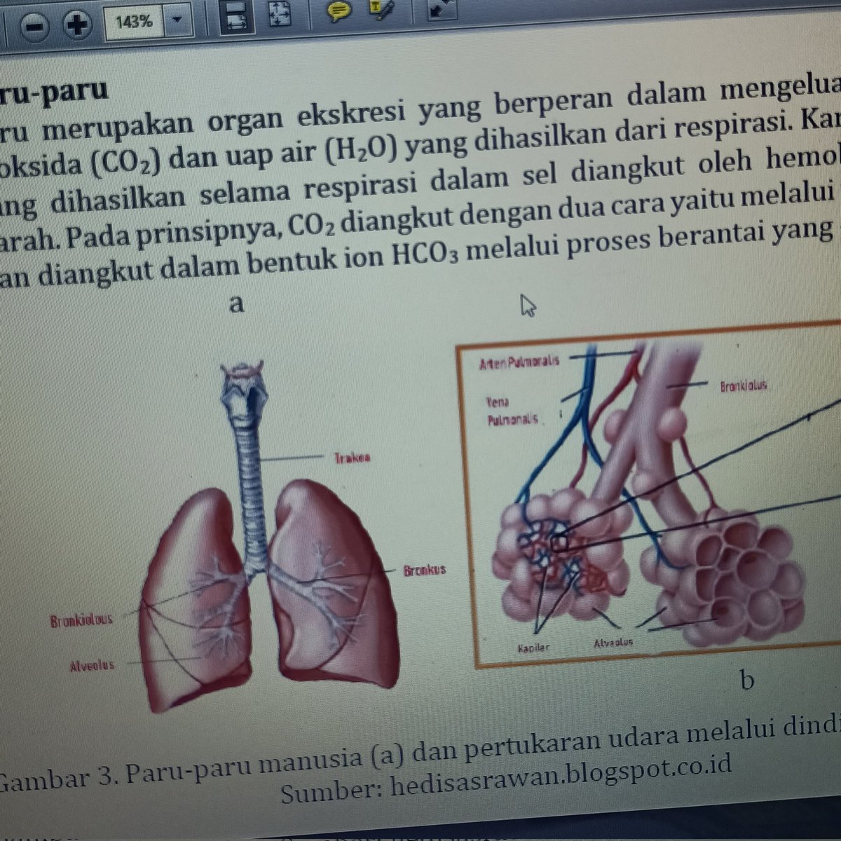 studywkia's tweet image. 180123 ༉‧₊˚