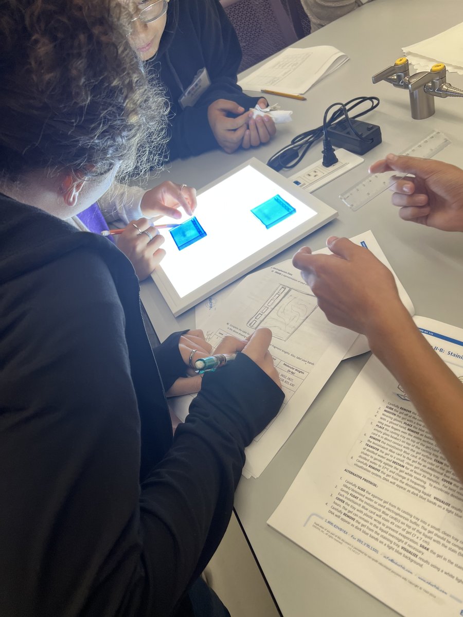 SFASTEMcenter's tweet photo. STEM Academy - Biology 
In this lab the students conducted genetic testing on a cancer patient by creating a family pedigree and analyzing the patient's DNA for the p53 gene.
#STEMAcademy #SFASU #ColeSTEMBuilding #NISD #Biology #DNA #Electrophoresise https://t.co/lP8Q5MN2I6