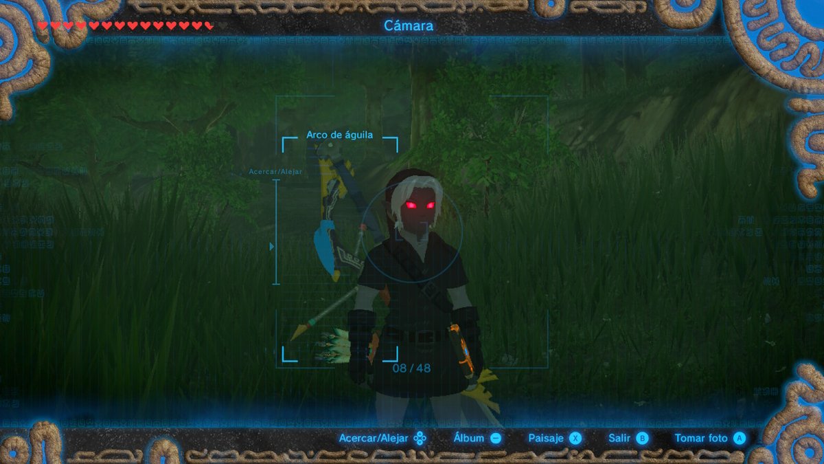 RotsusTv's tweet photo. #BreathoftheWild #NintendoSwitch https://t.co/flPwuECEh6