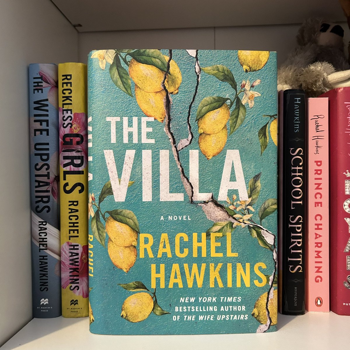 Sea_Calls's tweet photo. They’re just so pretty 😍 @LadyHawkins https://t.co/Rsu8zfAtF6