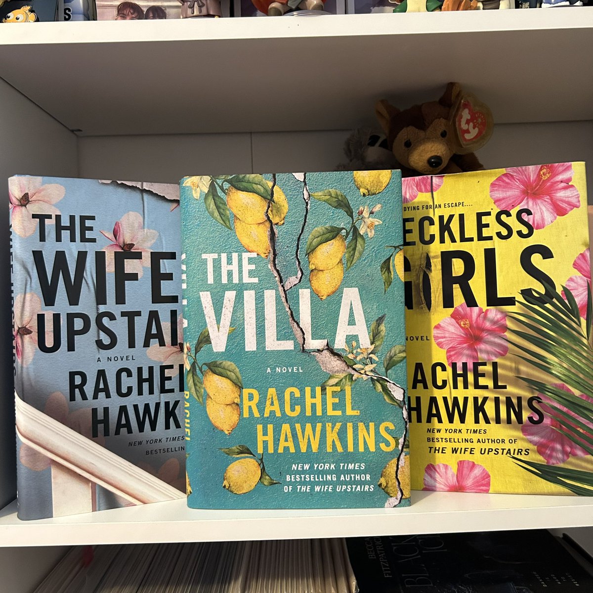 Sea_Calls's tweet photo. They’re just so pretty 😍 @LadyHawkins https://t.co/Rsu8zfAtF6