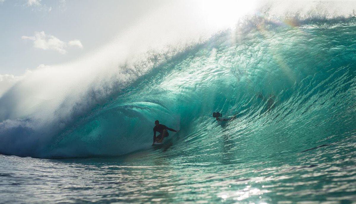 TAP, Inc. tweet media