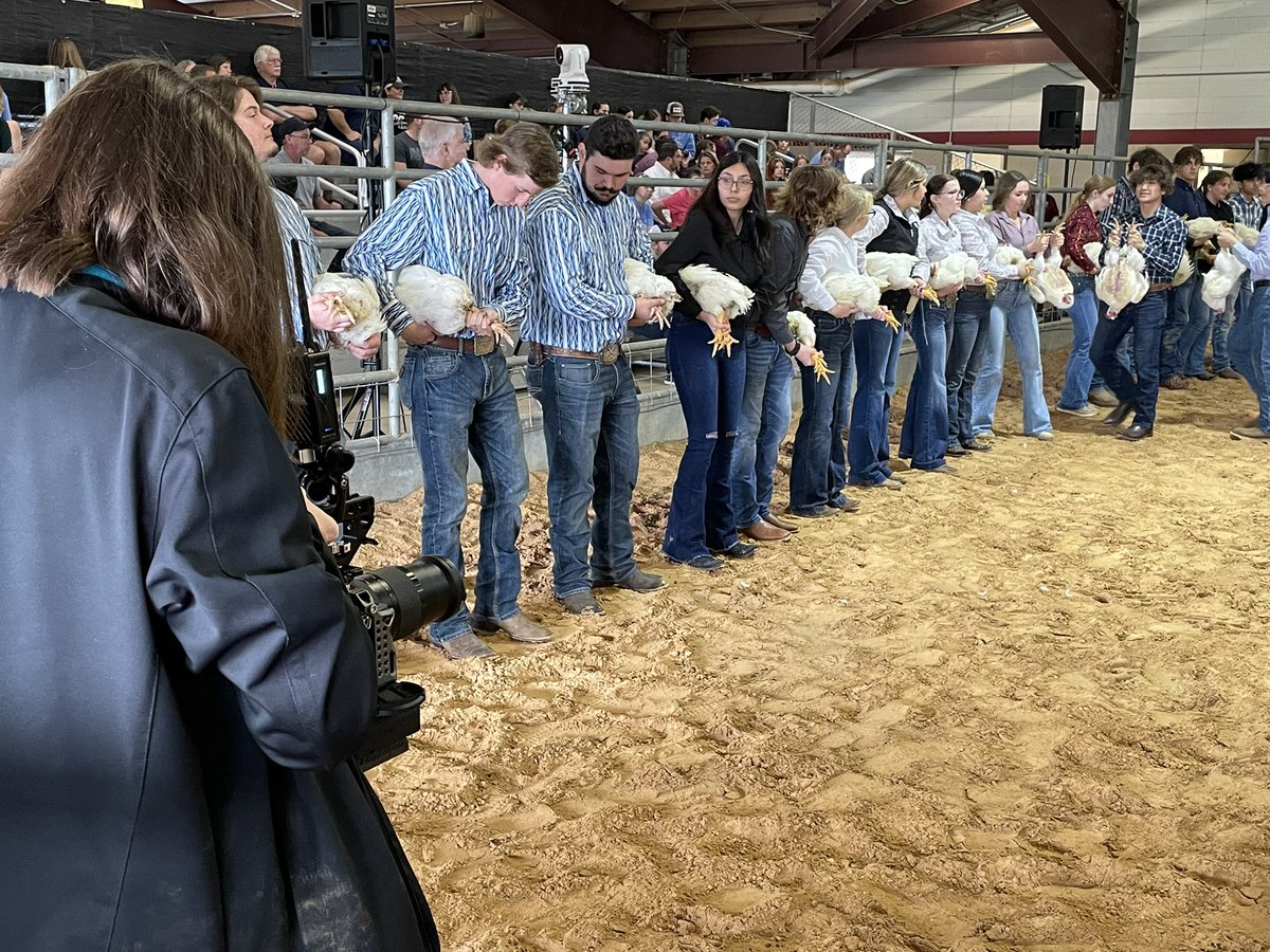 C3Studios (@c3studios_ccisd) on Twitter photo Day 1 went well - <a href="/CCISD_CTE/">ClearCreekISD_CTE</a> AV kids are back at it bright and early for Day 2 of the 41st Annual <a href="/ClearCreekISD/">Clear Creek ISD</a> Livestock Show & Auction
<a href="/ClearBrookHS/">Clear Brook HS</a> <a href="/ClearSpringsHS/">Clear Springs HS</a> <a href="/Clear_LakeHS/">CLHS</a> <a href="/CFHS_Knights/">Clear Falls Knights</a> <a href="/CreekWildcats/">Clear Creek Wildcats</a> Day 1 went well - <a href="/CCISD_CTE/">ClearCreekISD_CTE</a> AV kids are back at it bright and early for Day 2 of the 41st Annual <a href="/ClearCreekISD/">Clear Creek ISD</a> Livestock Show & Auction
<a href="/ClearBrookHS/">Clear Brook HS</a> <a href="/ClearSpringsHS/">Clear Springs HS</a> <a href="/Clear_LakeHS/">CLHS</a> <a href="/CFHS_Knights/">Clear Falls Knights</a> <a href="/CreekWildcats/">Clear Creek Wildcats</a>