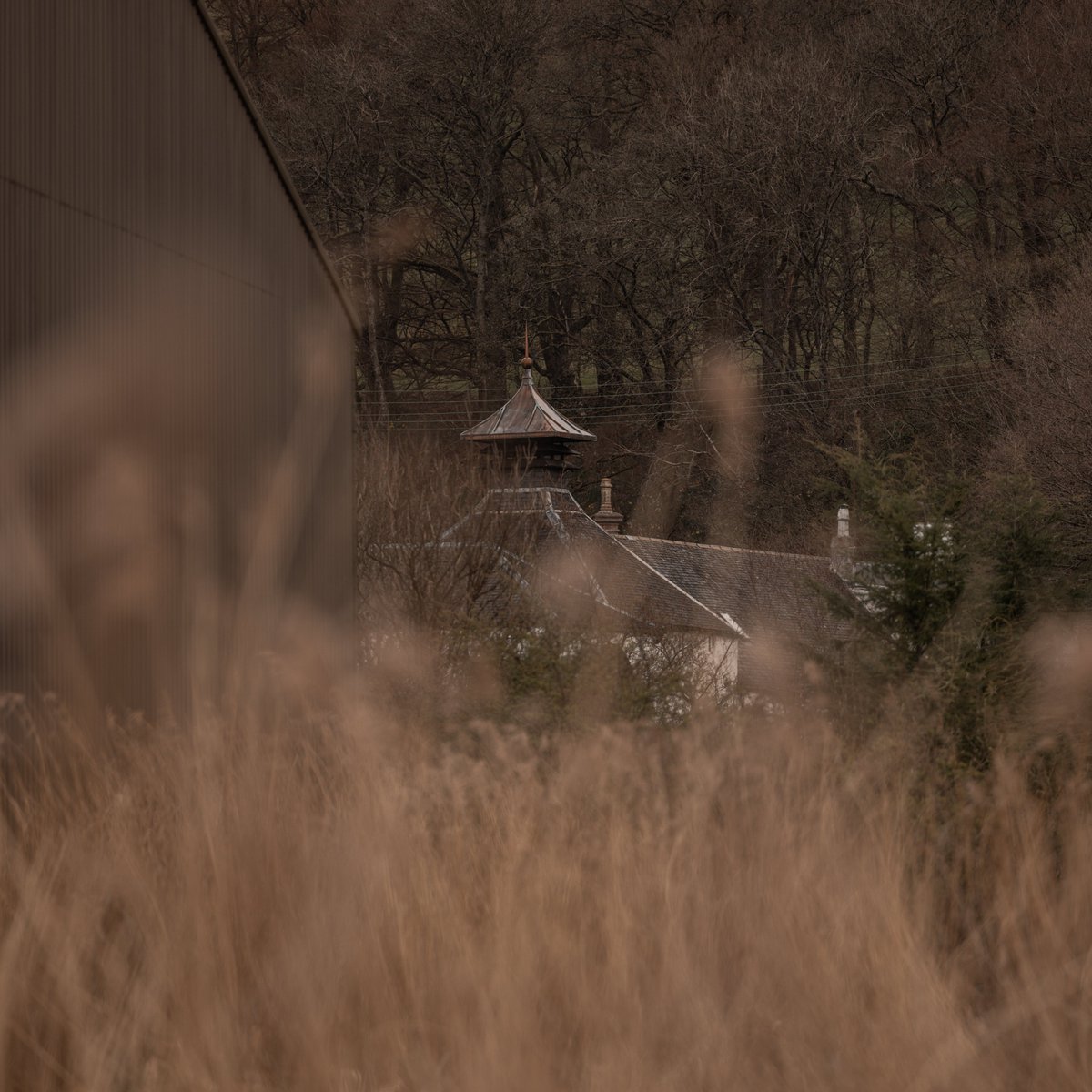 From the barley to the water to the wood, every drop of Glengoyne is brought to you through elements of nature working together in harmony. So our Distillery has to work in harmony with our natural surroundings too. We don't just want to be proud of our past, but also our future.