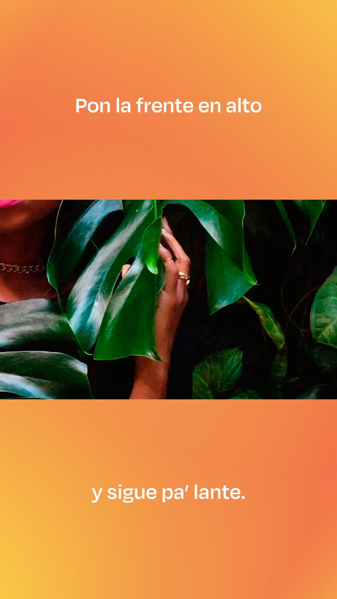 *Abre para una sorpresa*
(Tu cuerpo y mente lo agradecerán) 🍃🌿🍀