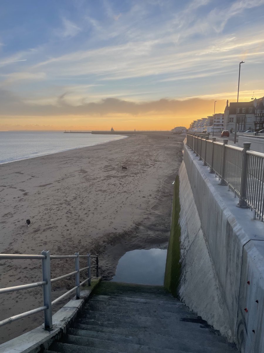 Morris Pentel tweet media