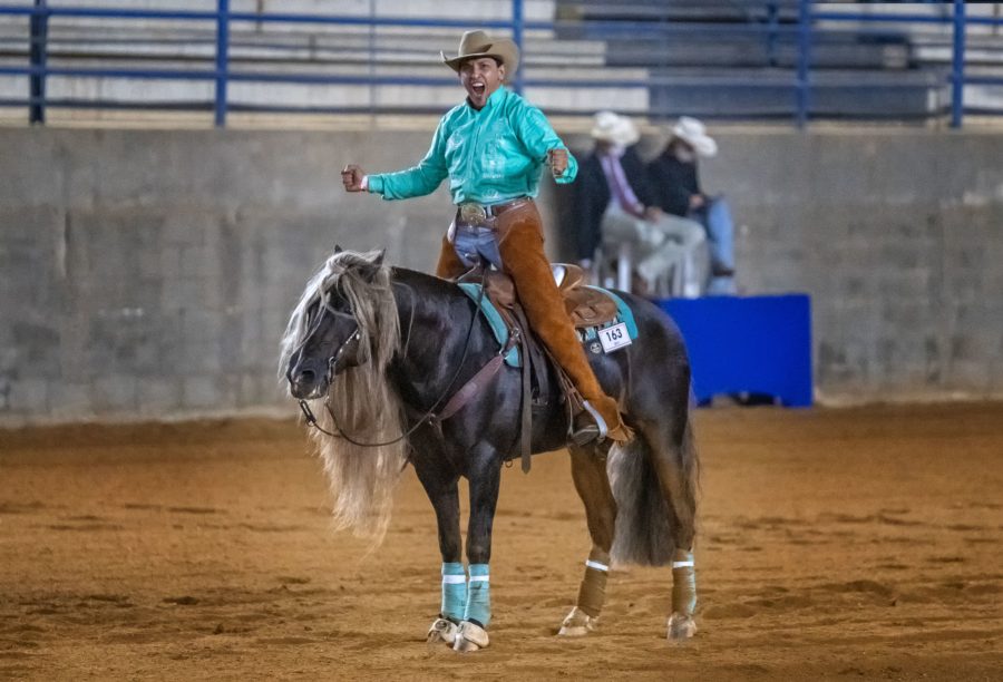 ClubeHip's tweet photo. De 23 a 28 de janeiro o município paranaense de Campina Grande do Sul recebe mais uma vez o maior evento de rédeas do Cavalo Crioulo. O Rédeas de Ouro, promovido pela Associação Brasileira de Criadores de Cavalos Crioulos (ABCCC), #ABCCC #cavalocrioulo
https://t.co/fiGpJzoLUt https://t.co/jkggDr9pGi