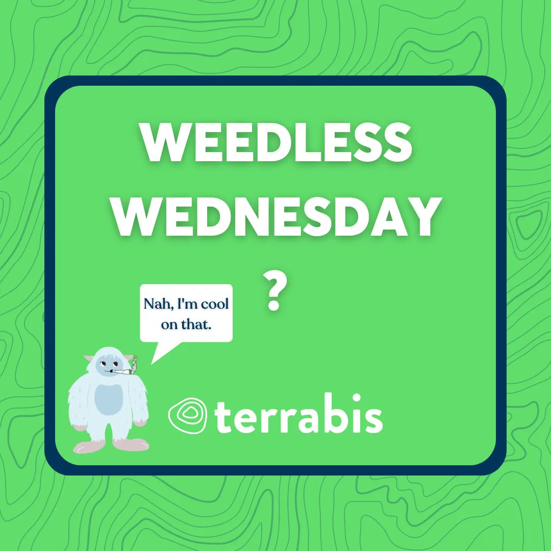 terrabis's tweet photo. βοΈ We asked the Smoking Yeti if it was taking part in Weedless Wednesday and it said, "Nah, I'm cool on that." π¨ To each their own though!
#weedlesswednesday #wednesday #yeti #mommj #moadultuse #missouri #jokes #yetijokes https://t.co/kgVHeb8PNI