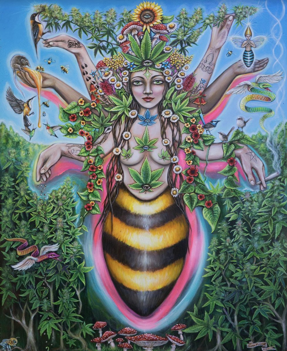 Sharon McLeod (IG: @sharonmcleod3 ) has been a visionary artist for over twenty years. She draws inspiration from her rainforest surroundings and her love of nature. She placed in the top 150 of High Art 2022 with the piece "Cannabee". #highart