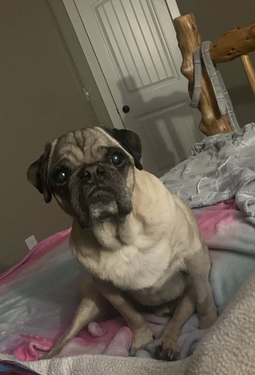 scheanit's tweet image. So…My 13.5yr old Zeus self had 10 tooths pulled last week. Been feeling pretty sorry for myself… THEN Momma tops it ALL off by calling me her ‘LITTLE GUMMER BOY’
SERIOUSLY, Momma?!?!