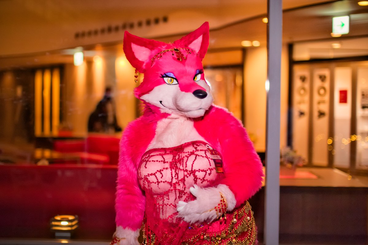 c2ex's tweet photo. @orine_ つい先日のように感じます。
#JMoF2018 https://t.co/dfYWSF1grg